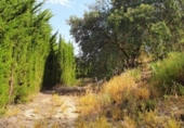 Non-developable land for sale on España, Yunquera, ref: TR118236 photo