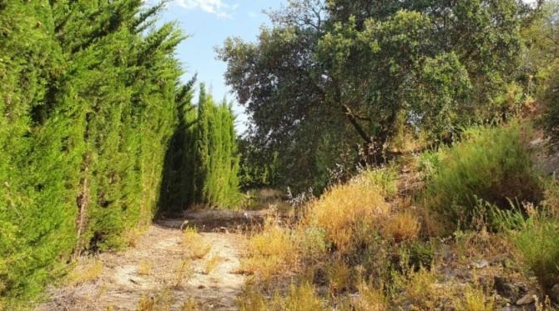 Málaga - Yunquera - 25000m2