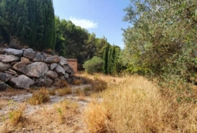 Yunquera 25000&nbsp;m² 