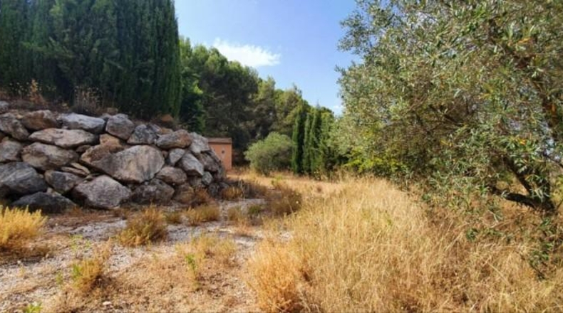 Málaga - Yunquera - 25000m2