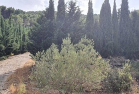 Yunquera 25000&nbsp;m² 