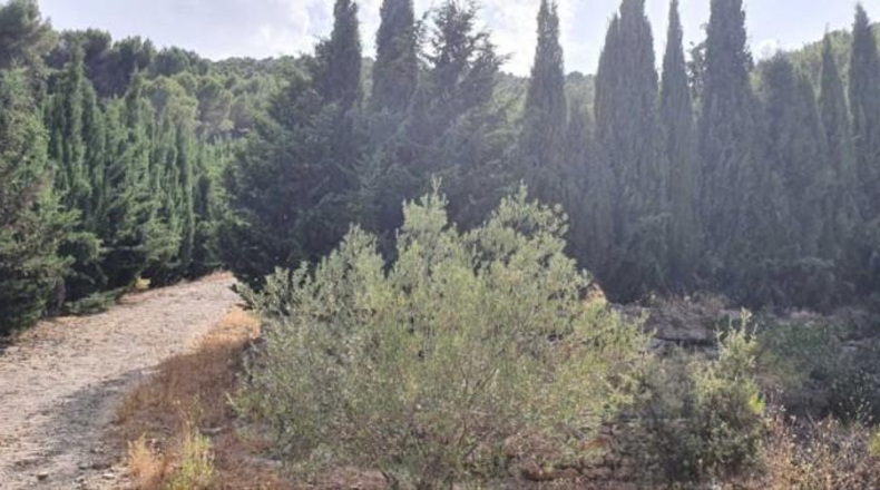 Málaga - Yunquera - 25000m2
