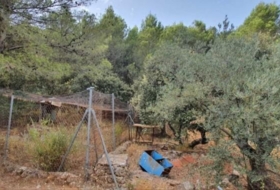 Yunquera 25000&nbsp;m² 