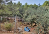 Non-developable land for sale on España, Yunquera, ref: TR118236 photo