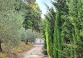 Non-developable land for sale on España, Yunquera, ref: TR118236 photo