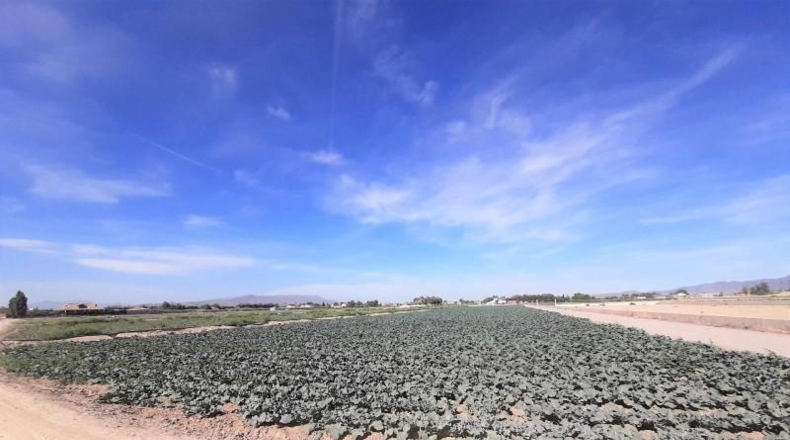 Múrcia - Lorca - 8100m2