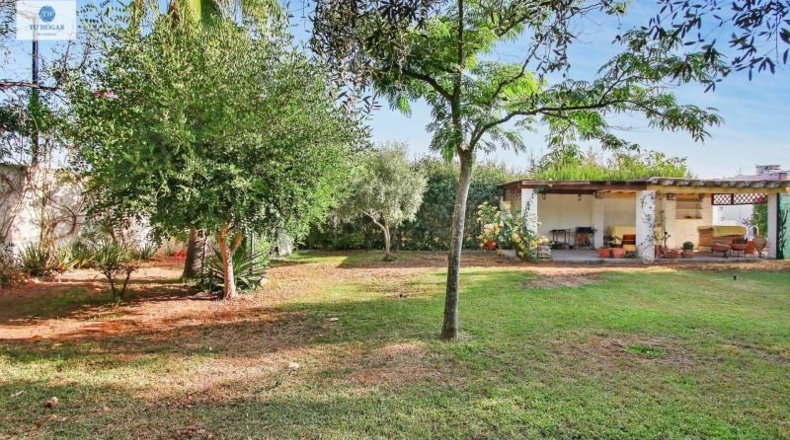 Sevilla - Alcalá de Guadaíra - 343m2