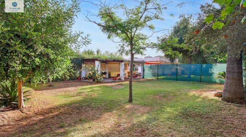 Sevilla - Alcalá de Guadaíra - 343m2