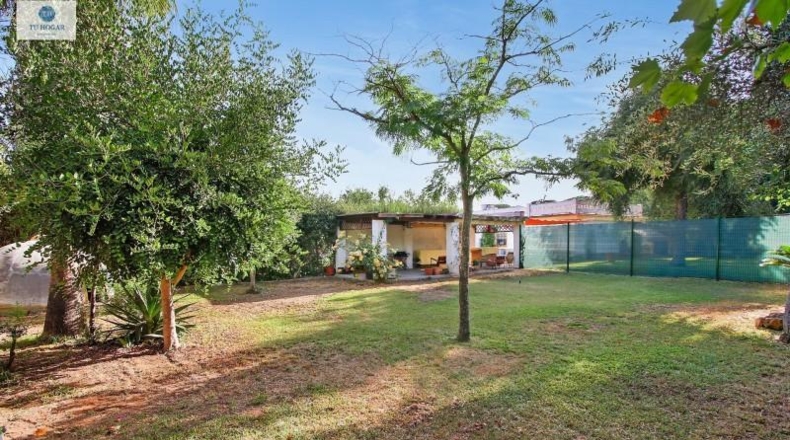 Sevilla - Alcalá de Guadaíra - 343m2