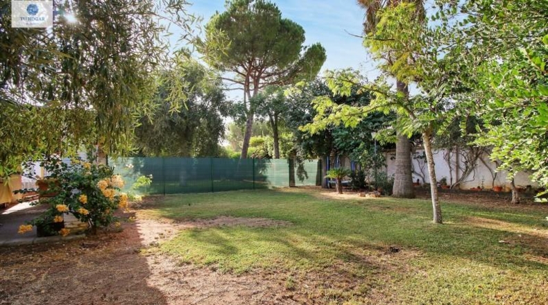 Sevilla - Alcalá de Guadaíra - 343m2