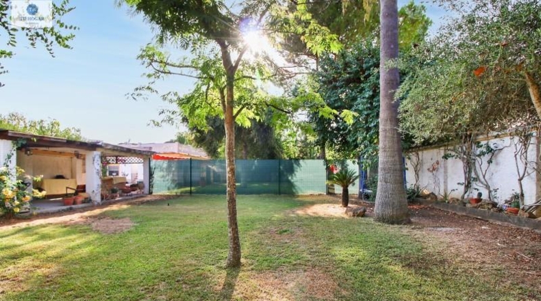 Sevilla - Alcalá de Guadaíra - 343m2