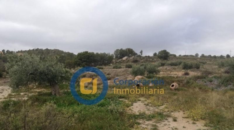 Murcia - Lorca - 40401m2