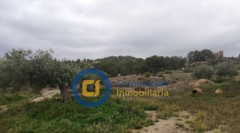 Murcia - Lorca - 40401m2