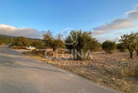 Ibi 15884&nbsp;m² 
