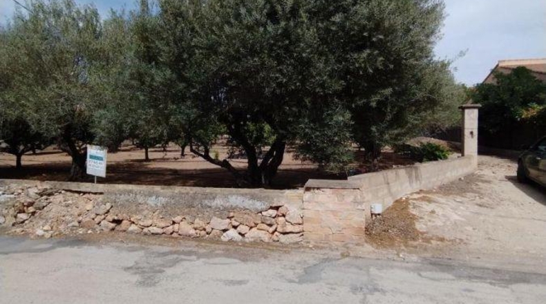 Tarragona - Tortosa - 1989m2
