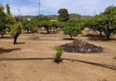 Suelo urbano en venta en la España, Tortosa, ref: TR264874 foto