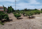 Suelo urbano en venta en la España, Tortosa, ref: TR264874 foto