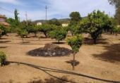 Suelo urbano en venta en la España, Tortosa, ref: TR264874 foto