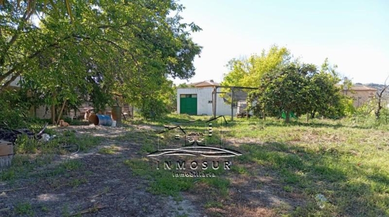 Córdoba - Lucena - 1337m2