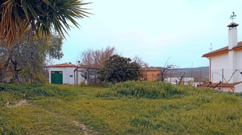 Córdoba - Lucena - 1337m2