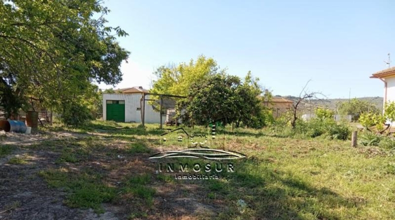 Córdoba - Lucena - 1337m2