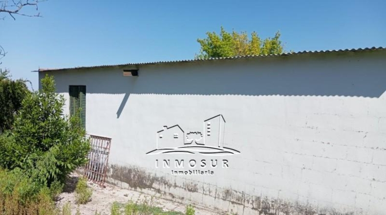 Córdoba - Lucena - 1337m2