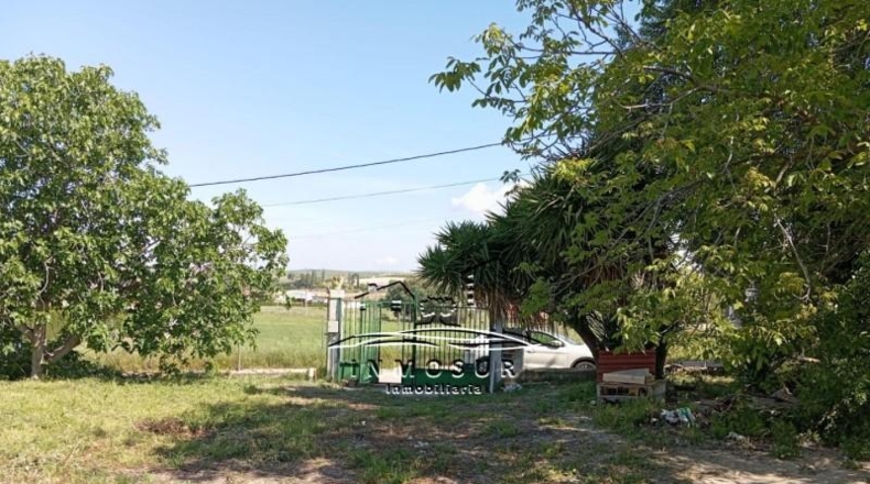 Córdoba - Lucena - 1337m2