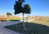 Sòl urbà en venda a la España, Alcalá de Guadaíra, ref.: TR225735 foto