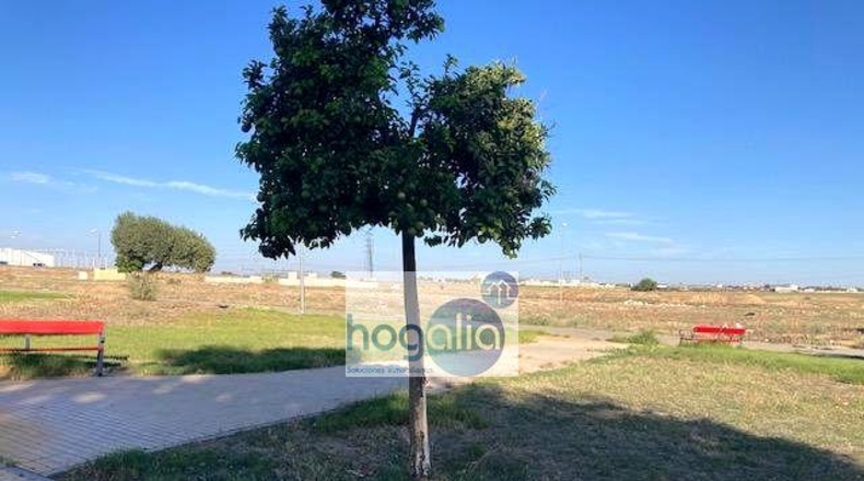 Sevilla - Alcalá de Guadaíra - 1049m2
