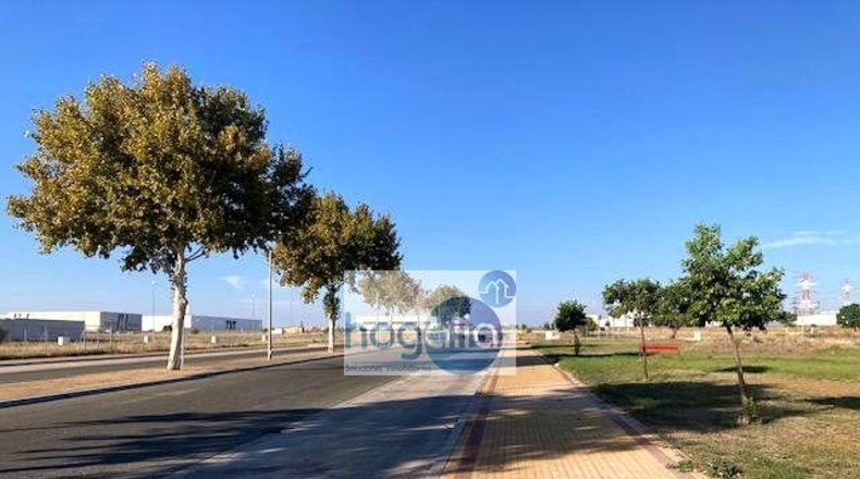Sevilla - Alcalá de Guadaíra - 1049m2