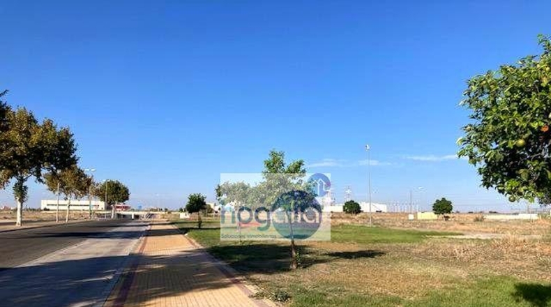 Sevilla - Alcalá de Guadaíra - 1049m2