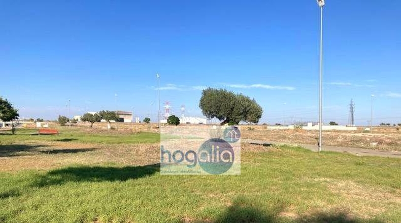 Sevilla - Alcalá de Guadaíra - 1049m2