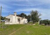 Casa de camp amb terreny en venda a la España, Arroyo de la Luz, ref.: TR368464 foto