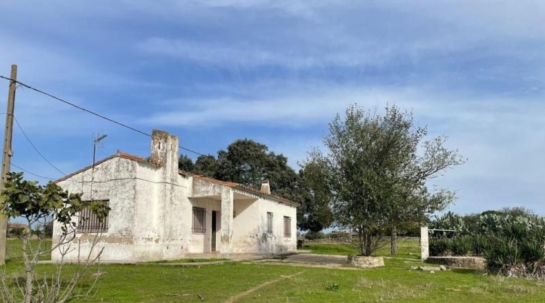 Cáceres - Arroyo de la Luz - 19483m2