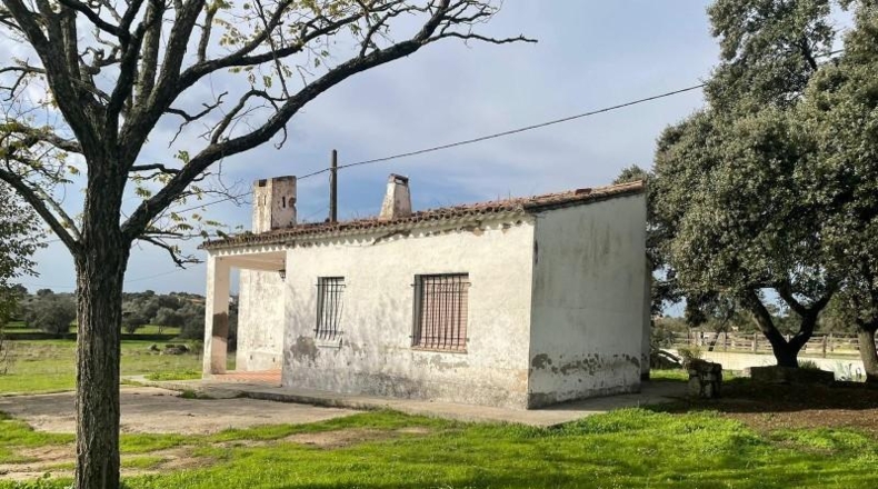 Cáceres - Arroyo de la Luz - 19483m2