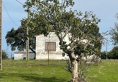 Casa de camp amb terreny en venda a la España, Arroyo de la Luz, ref.: TR368464 foto