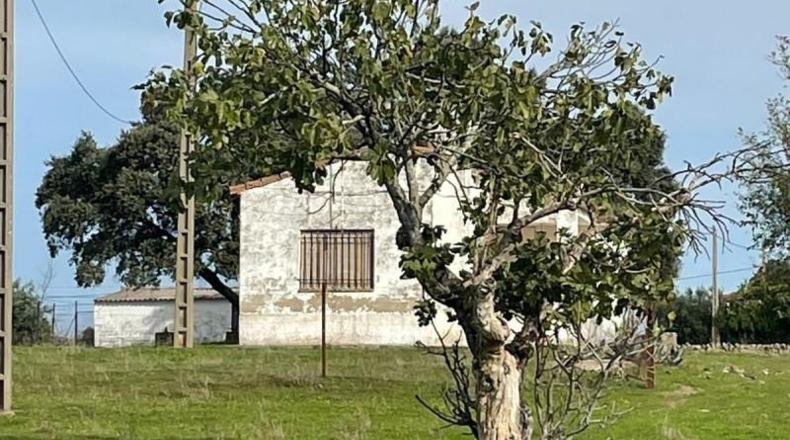 Cáceres - Arroyo de la Luz - 19483m2
