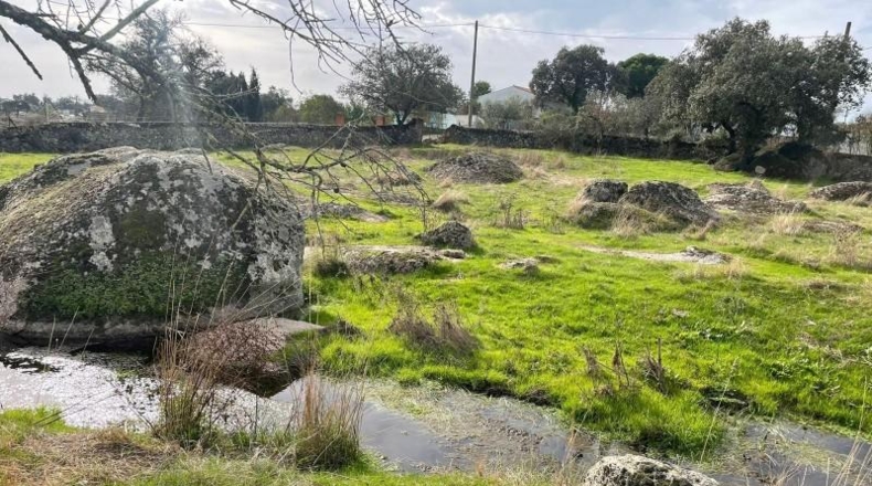 Cáceres - Arroyo de la Luz - 19483m2