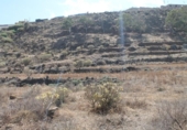 Non-developable land for sale on España, Balcón de Telde, ref: TR125005 photo
