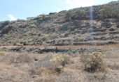Non-developable land for sale on España, Balcón de Telde, ref: TR125005 photo
