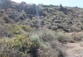 Non-developable land for sale on España, Balcón de Telde, ref: TR125005 photo