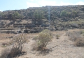Non-developable land for sale on España, Balcón de Telde, ref: TR125005 photo