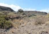 Non-developable land for sale on España, Balcón de Telde, ref: TR125005 photo