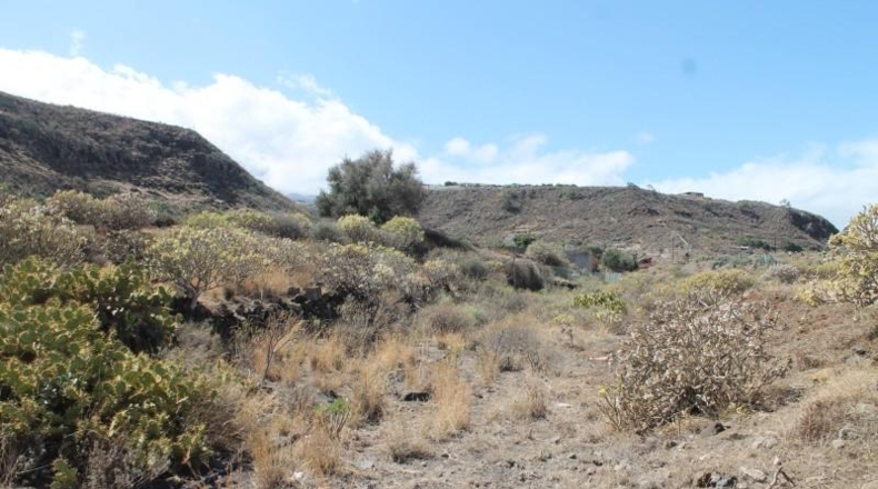 Las Palmas - Telde - 6420m2