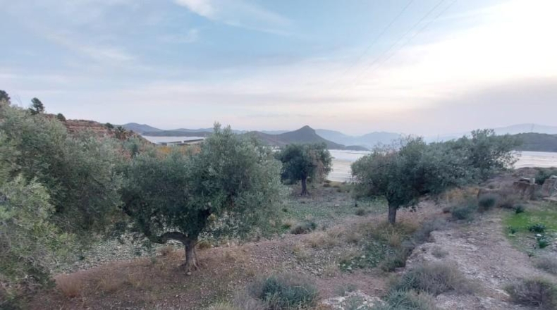 Almeria - Berja - 6440m2