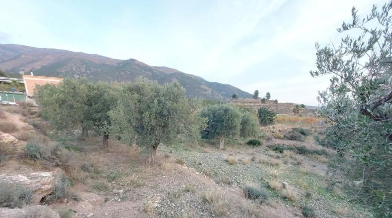 Almeria - Berja - 6440m2