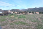 Terreny no urbanitzable en venda a la España, Berja, ref.: TR218745 foto