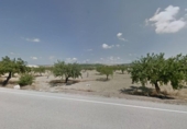 Non-developable land for sale on España, Orihuela, ref: TR123232 photo