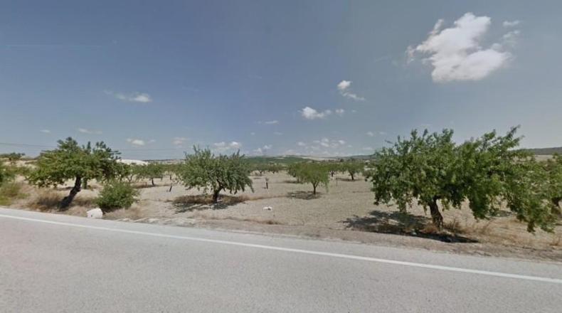 Alicante - Orihuela - 134130m2