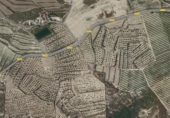 Non-developable land for sale on España, Orihuela, ref: TR123232 photo